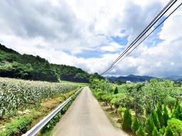 홍천군 북방면 중화계리 평당15만원_썸네일_2