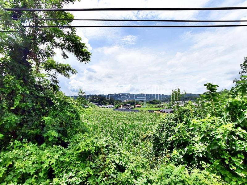 홍천군 북방면 중화계리 평당15만원_6