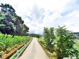 홍천군 북방면 중화계리 평당15만원_썸네일_8