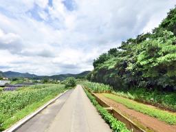 홍천군 북방면 중화계리 평당15만원_썸네일_10