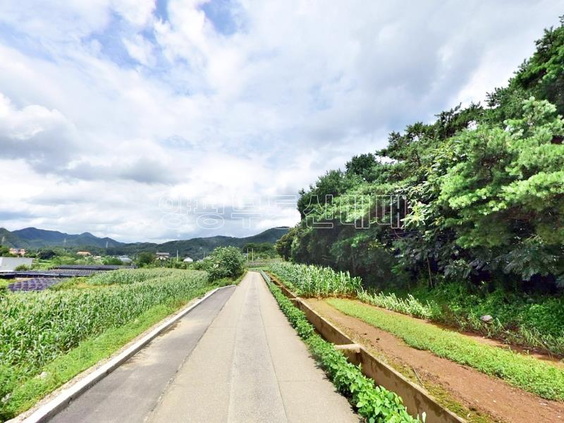 홍천군 북방면 중화계리 평당15만원_10