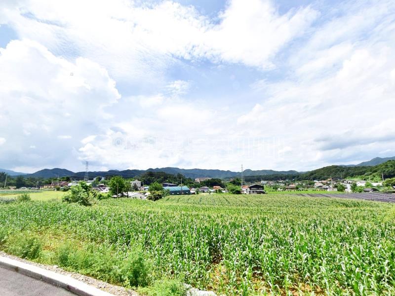 홍천군 북방면 중화계리 평당15만원_12