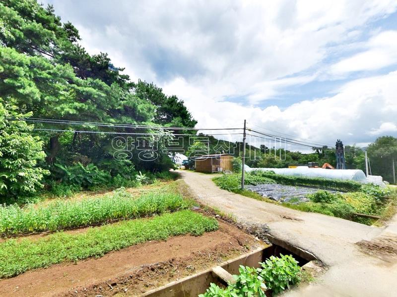 홍천군 북방면 중화계리 평당15만원_13