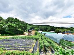 홍천군 북방면 중화계리 평당15만원_썸네일_15