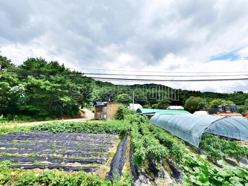 홍천군 북방면 중화계리 평당15만원_15