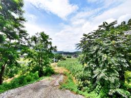 홍천군 북방면 중화계리 평당15만원_썸네일_17