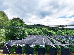 홍천군 북방면 중화계리 평당15만원_썸네일_18