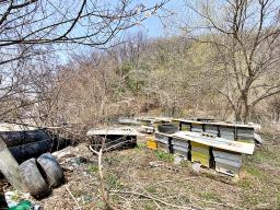 양평군 양서면 목왕리 전 평탄지이며 완만한경사_썸네일_3