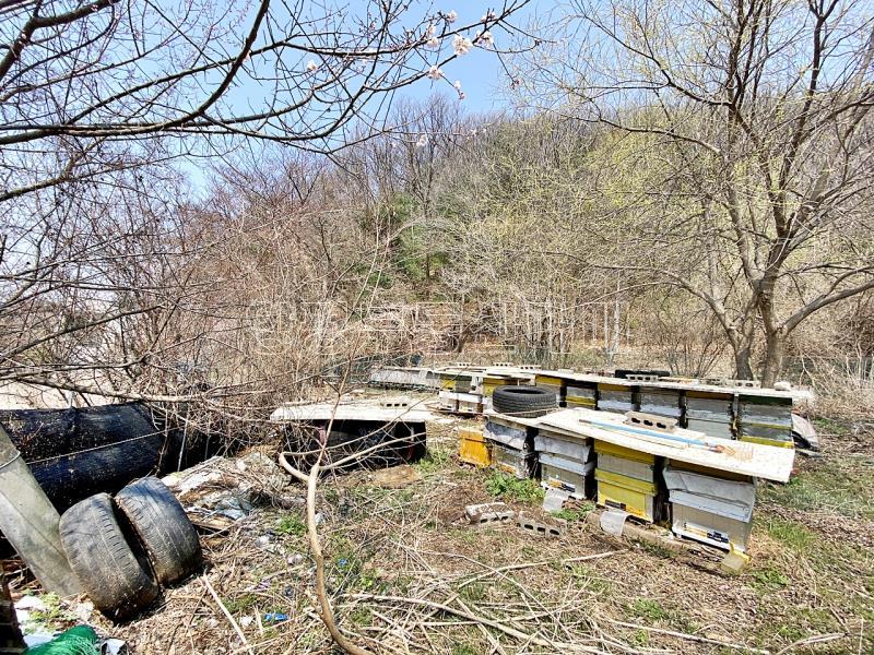 양평군 양서면 목왕리 전 평탄지이며 완만한경사_3