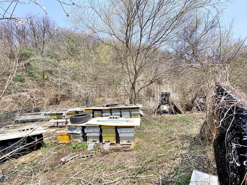 양평군 양서면 목왕리 전 평탄지이며 완만한경사_4