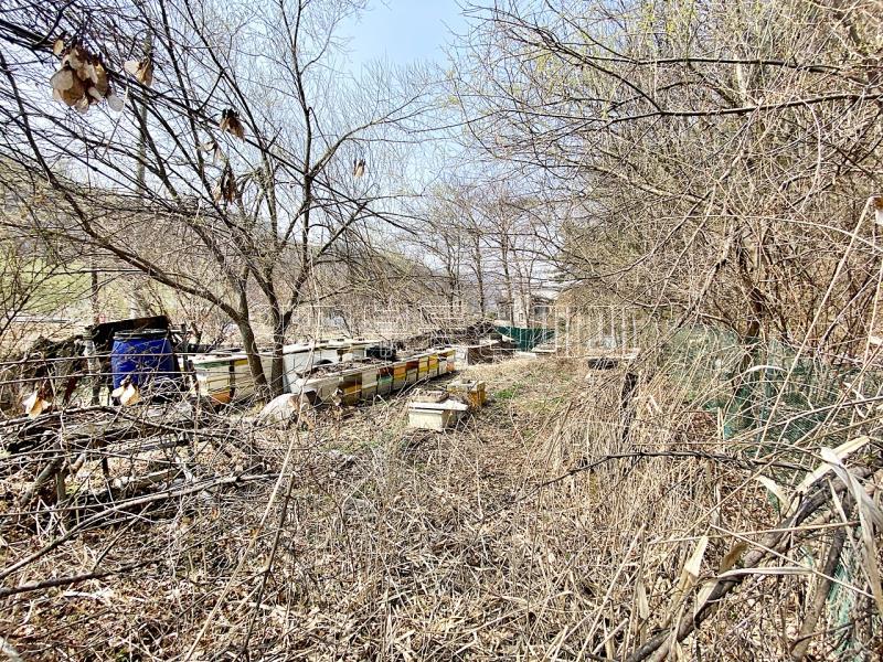 양평군 양서면 목왕리 전 평탄지이며 완만한경사_5