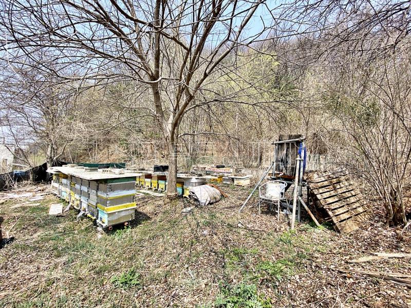 양평군 양서면 목왕리 전 평탄지이며 완만한경사_7