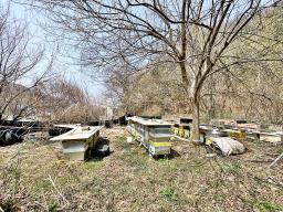 양평군 양서면 목왕리 전 평탄지이며 완만한경사_썸네일_10