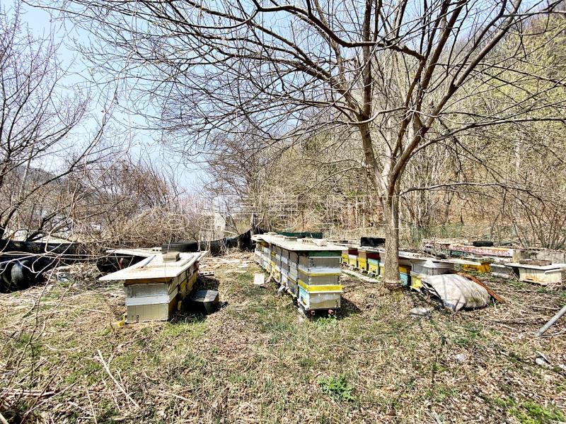 양평군 양서면 목왕리 전 평탄지이며 완만한경사_10