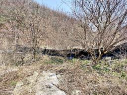 양평군 양서면 목왕리 전 평탄지이며 완만한경사_썸네일_11