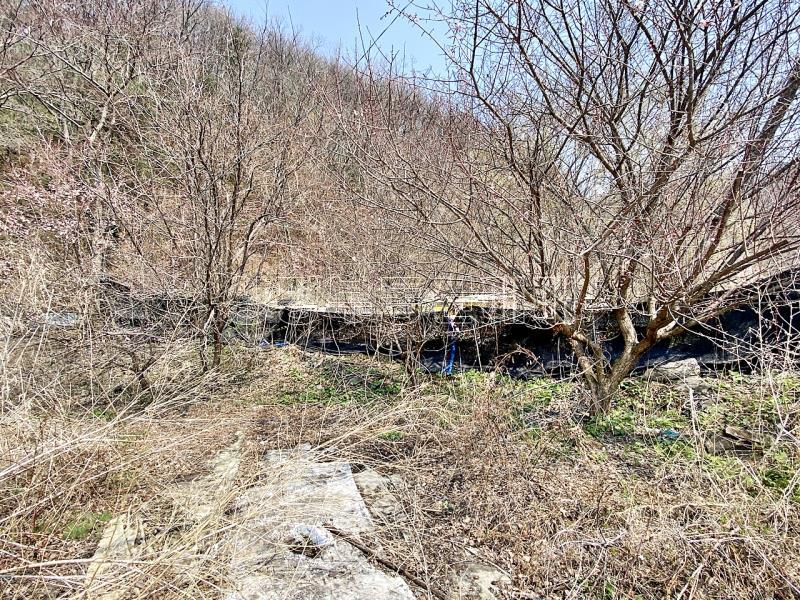 양평군 양서면 목왕리 전 평탄지이며 완만한경사_11