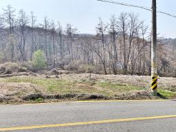 양평군 양서면 목왕리 田_썸네일_2