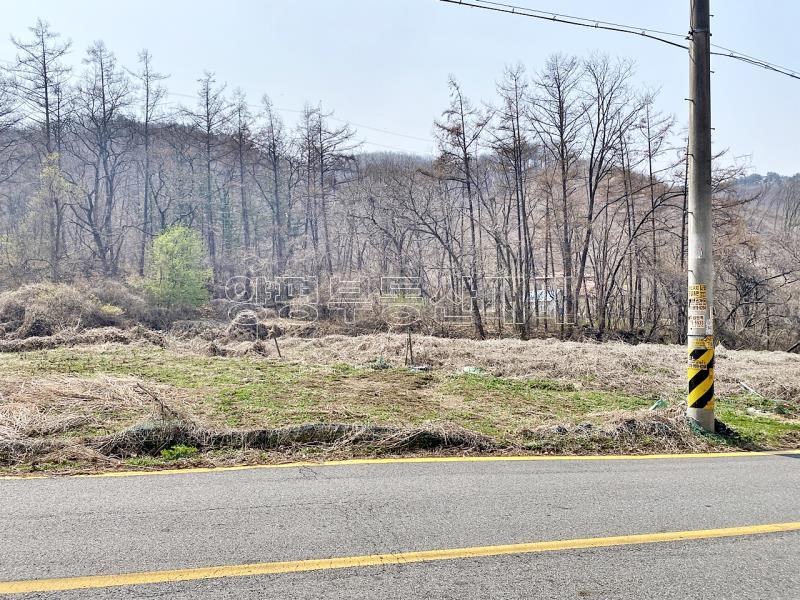 양평군 양서면 목왕리 田_2