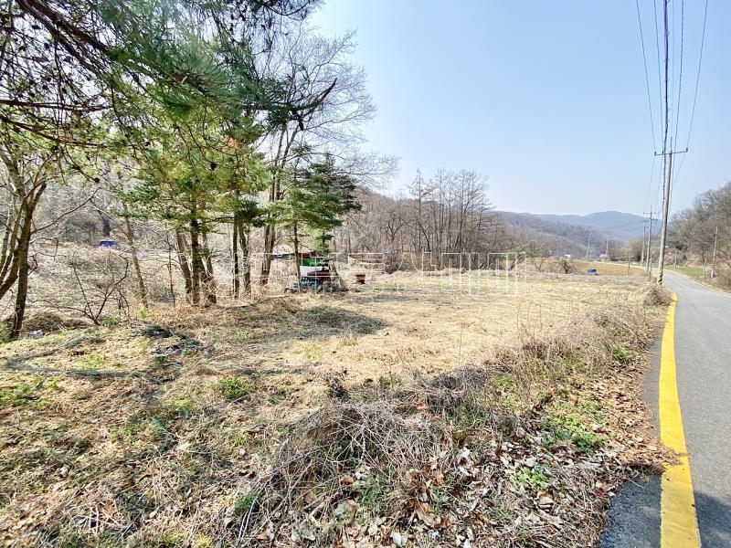 양평군 양서면 목왕리 田_4