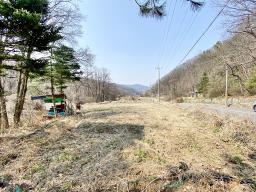 양평군 양서면 목왕리 田_썸네일_5