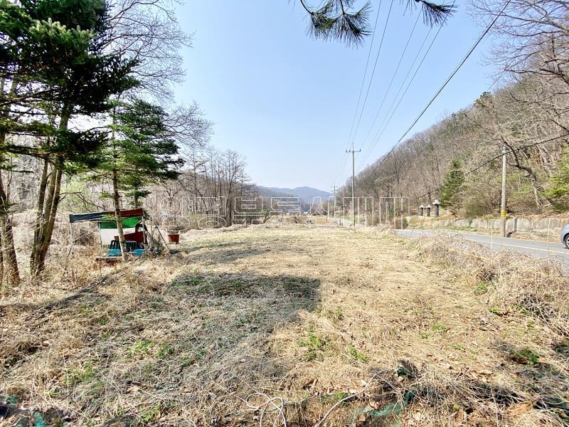 양평군 양서면 목왕리 田_5