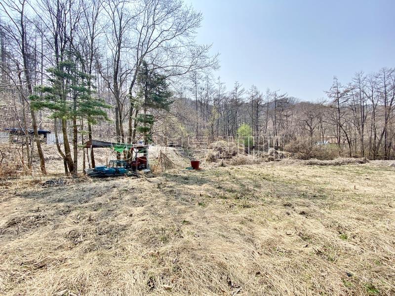 양평군 양서면 목왕리 田_6