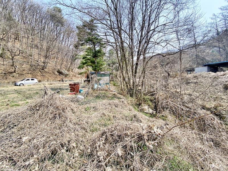 양평군 양서면 목왕리 田_8