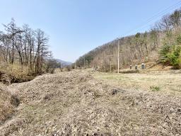 양평군 양서면 목왕리 田_썸네일_9