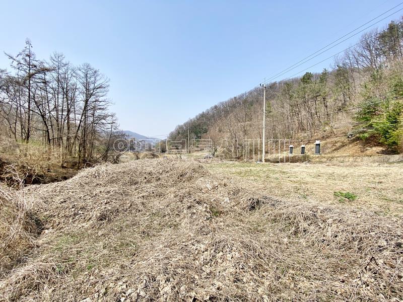 양평군 양서면 목왕리 田_9