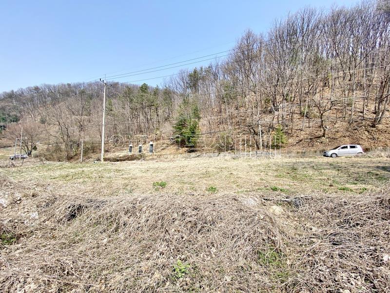 양평군 양서면 목왕리 田_10