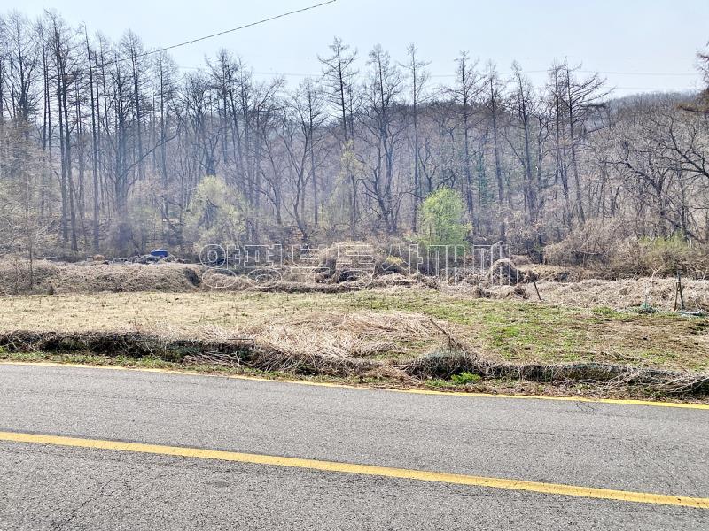 양평군 양서면 목왕리 田_12