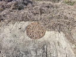 양평군 양서면 증동리 7.138평 미개발지_썸네일_2