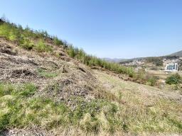 양평군 양서면 증동리 7.138평 미개발지_썸네일_3