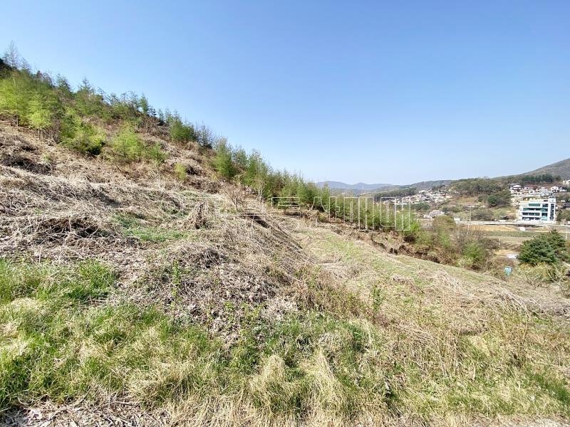 양평군 양서면 증동리 7.138평 미개발지_3