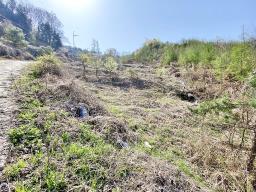 양평군 양서면 증동리 7.138평 미개발지_썸네일_5