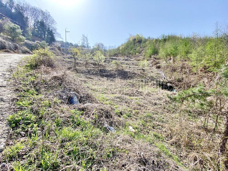 양평군 양서면 증동리 7.138평 미개발지_5