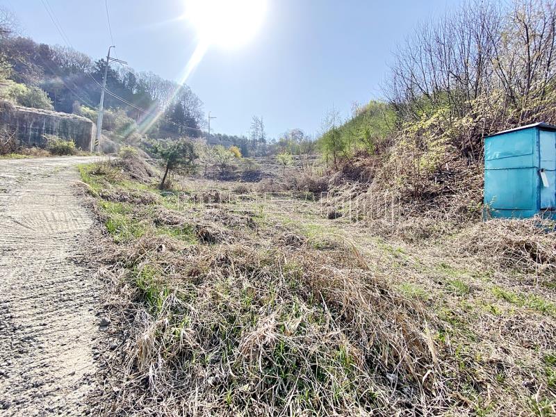 양평군 양서면 증동리 7.138평 미개발지_7