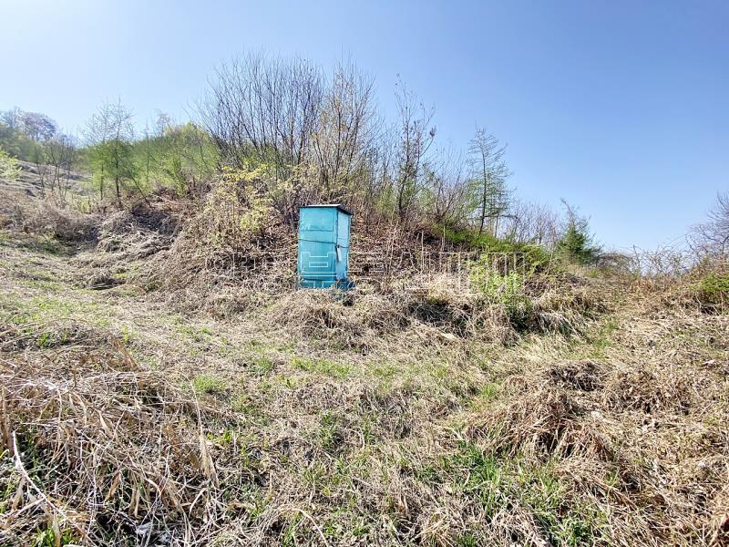 양평군 양서면 증동리 7.138평 미개발지_8