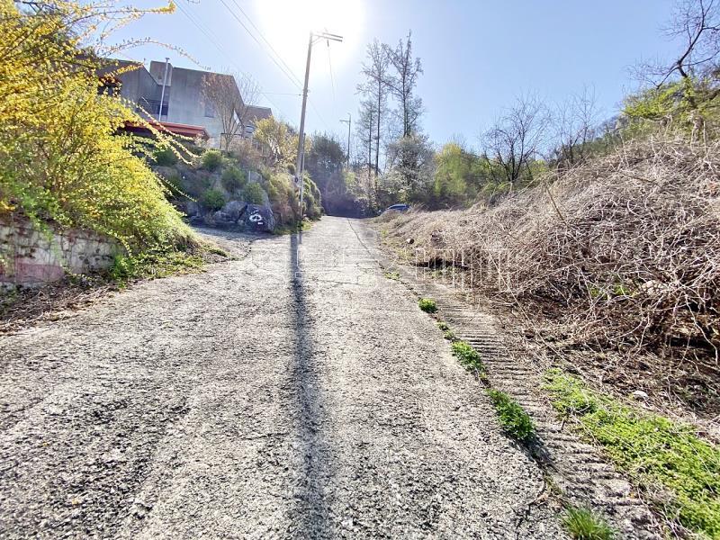 양평군 양서면 증동리 7.138평 미개발지_12