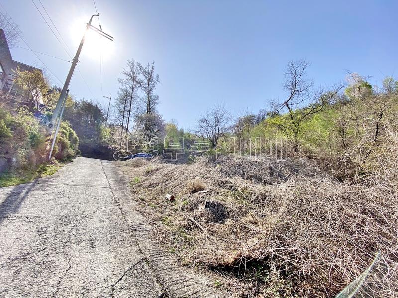 양평군 양서면 증동리 7.138평 미개발지_13