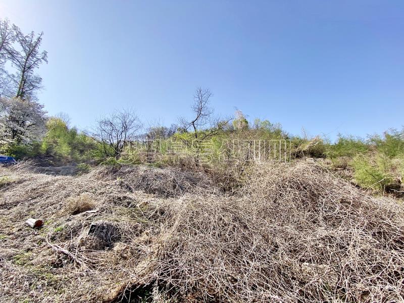 양평군 양서면 증동리 7.138평 미개발지_14