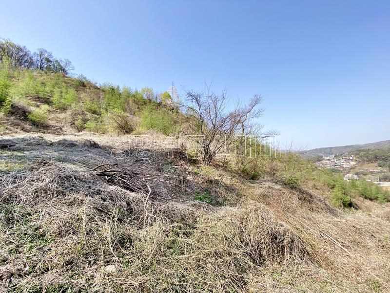 양평군 양서면 증동리 7.138평 미개발지_18