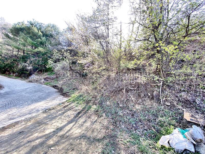 양평군 양서면 증동리 7.138평 미개발지_21