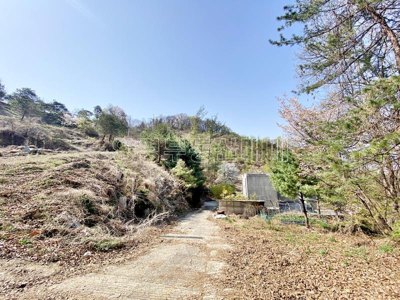 양평군 양서면 증동리 7.138평 미개발지_22