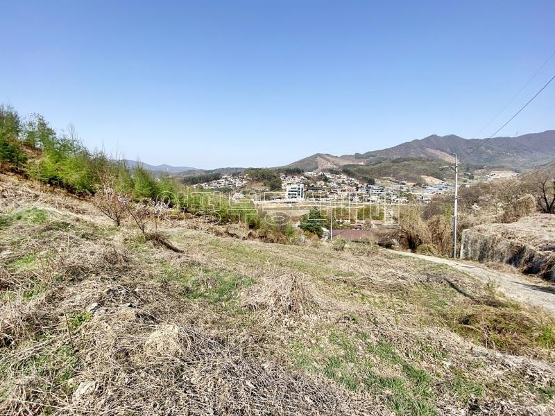 양평군 양서면 증동리 7.138평 미개발지_24