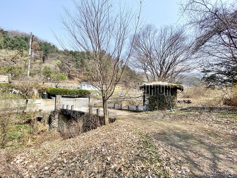양평군 양서면 목왕리 접근성좋은 평지_3