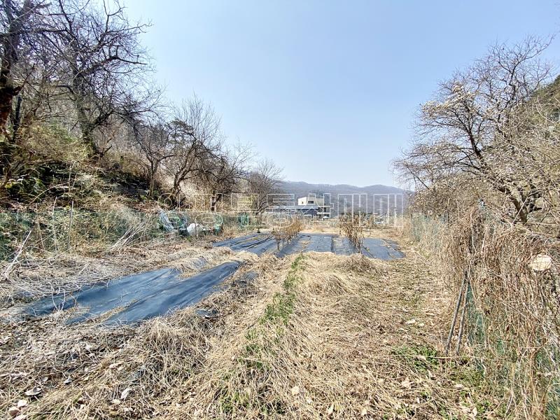 양평군 양서면 목왕리 접근성좋은 평지_10