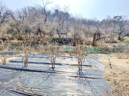 양평군 양서면 목왕리 접근성좋은 평지