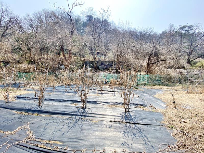 양평군 양서면 목왕리 접근성좋은 평지_13
