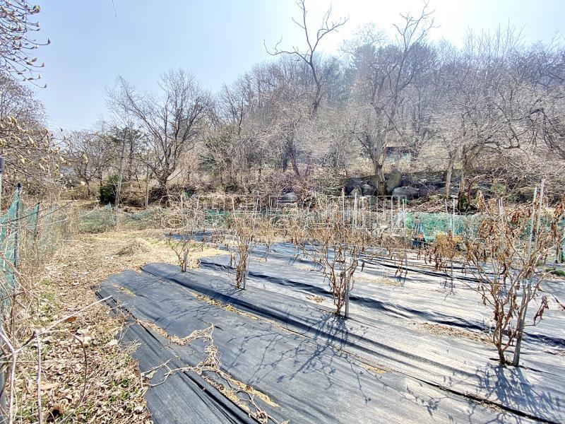 양평군 양서면 목왕리 접근성좋은 평지_14